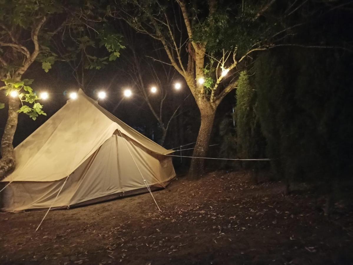 Bungalows Y Glamping Medina Sidonia ภายนอก รูปภาพ
