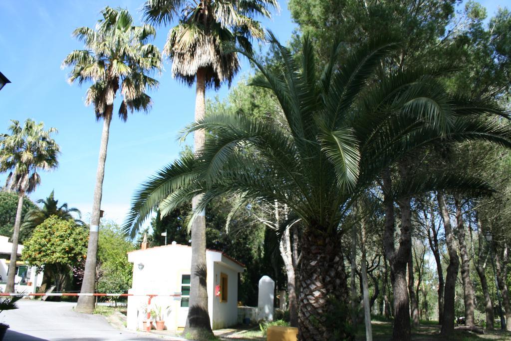 Bungalows Y Glamping Medina Sidonia ภายนอก รูปภาพ